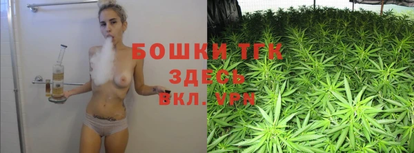 сатива Алексин