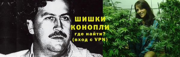 сатива Алексин